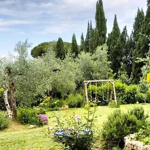 Agli Olivi Di Marciano Siena